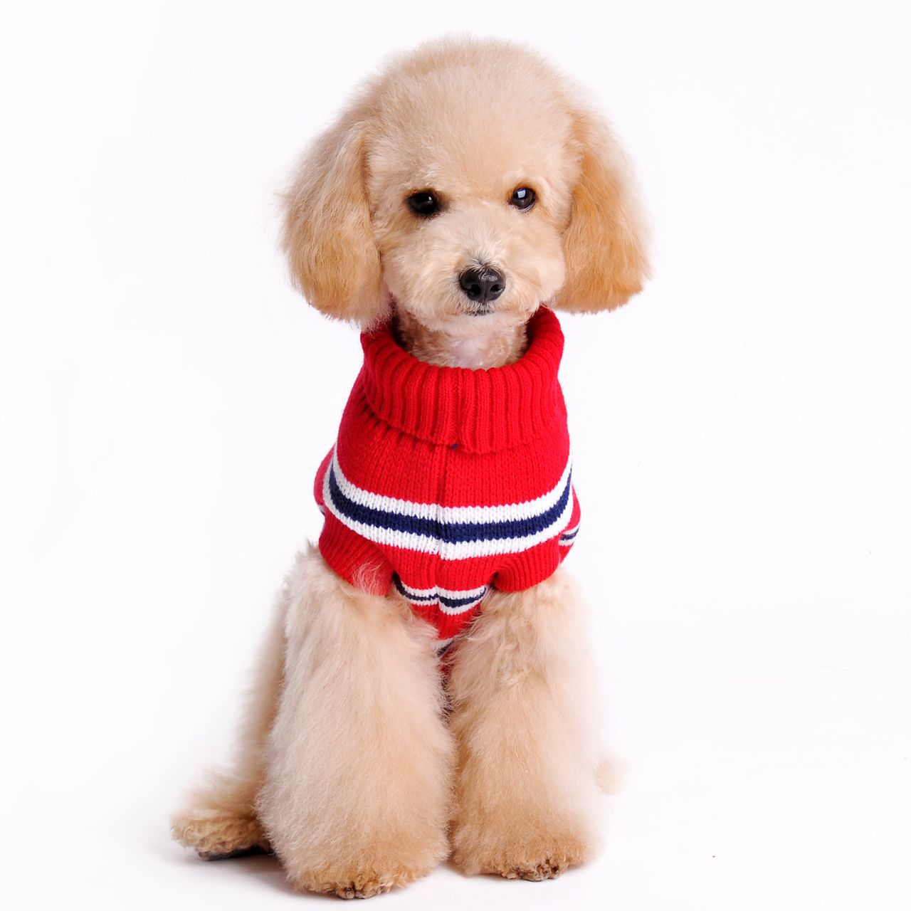 Autumn And Winter New Pet Sweater Horizontal Stripe Pattern Dog Clothes High Quality Pet Clothes