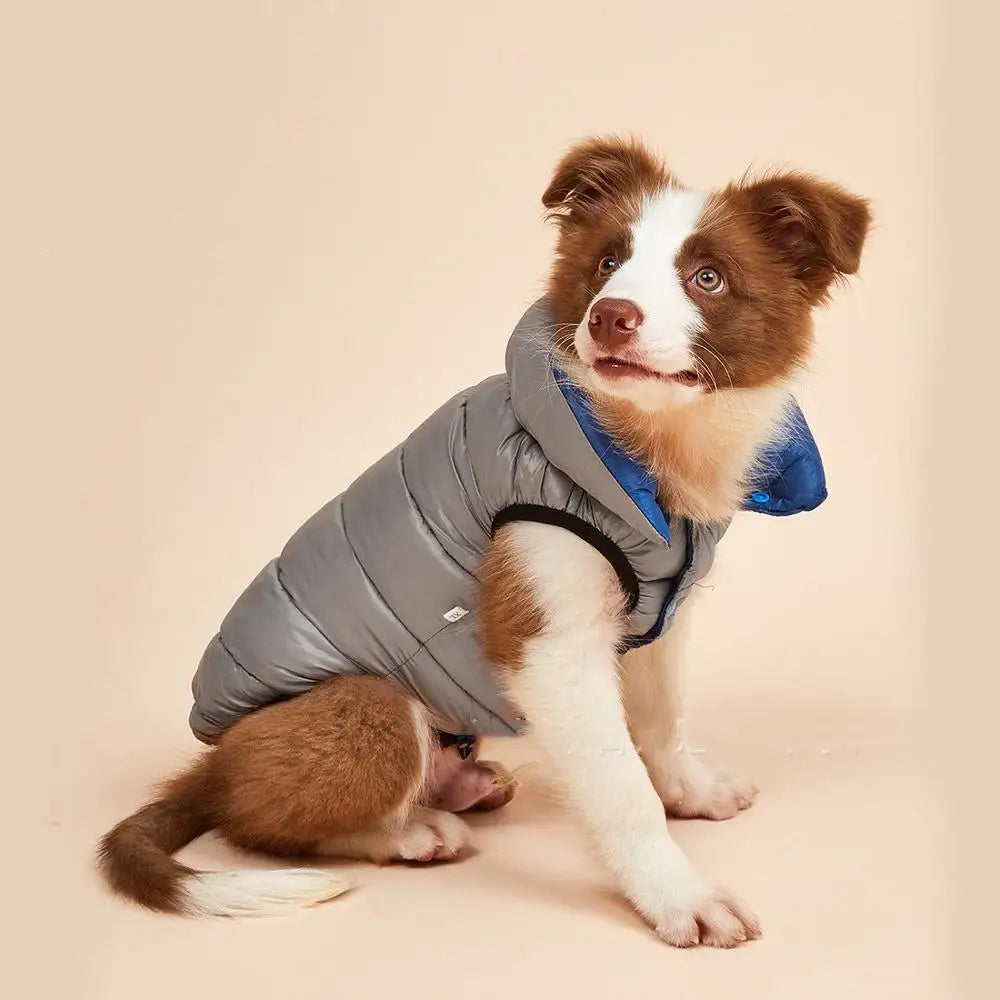 Autumn Winter New Pet Dog Clothes